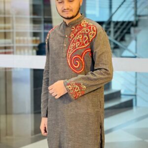 cotton normal hand emb panjabi