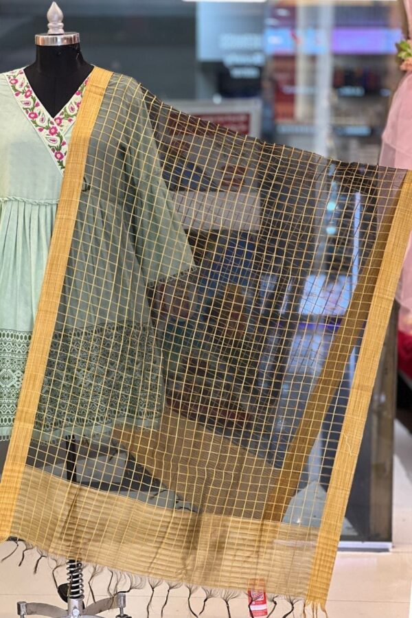 silk dupatta 3