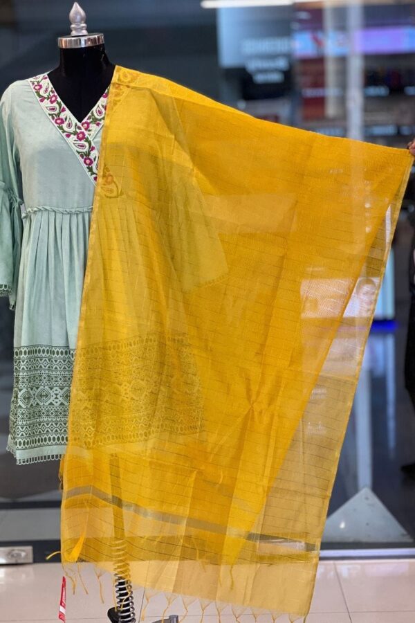 silk dupatta 5
