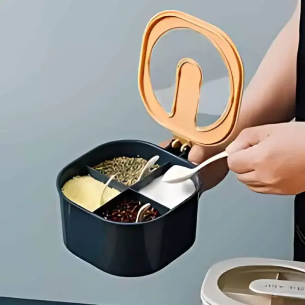 multi storage 4 section kitchen spices lid box