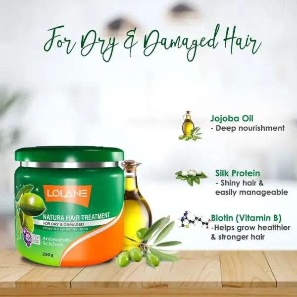lolane natura hair treatment for dry & damaged hair 250gm