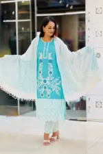 paste jacquard cotton screen printed with embroidered shalwar suit
