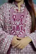 jacquard cotton screen printed and hand embroidered salwar suit
