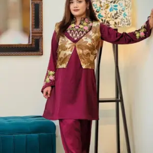 jam colour silk machine embroidered coaty set