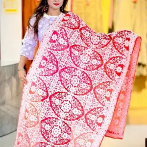 deep misty color ari work georgette dupatta