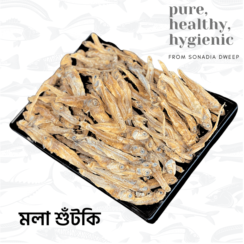 organic mola dry fish (shutki) 250gm মলা শুঁটকি ২৫০ গ্রাম